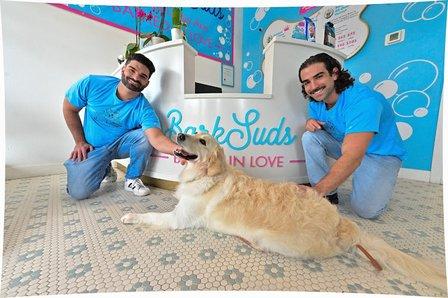 BarkSuds