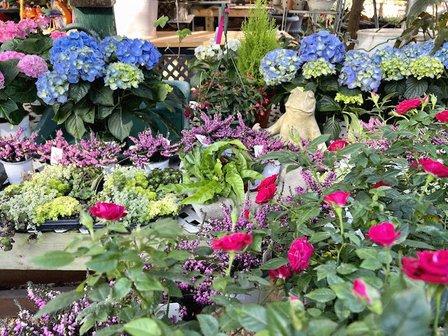 Bloom Garden Shop