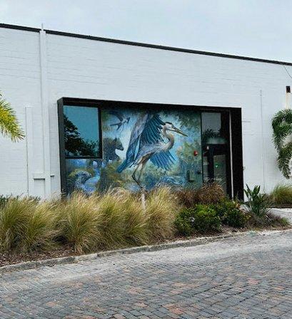 Wild Space Gallery