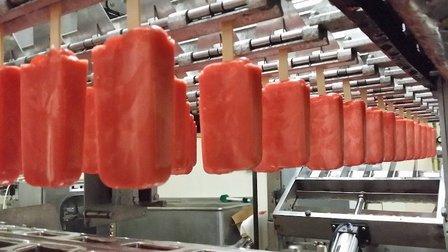 Your Ice Pop Factory & Ice Pop Equipment Supplier
