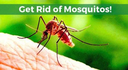 Brothers Pest Control