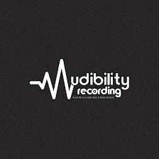 Audibility Recording