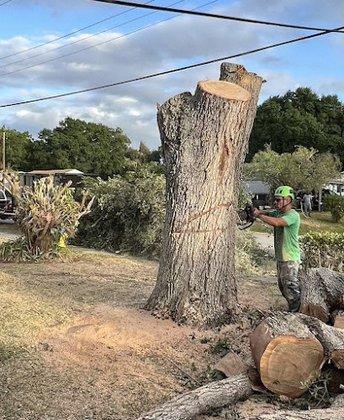 Grindem Out Tree Service & Stump Grinding