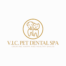 V.I.C. Pet Dental Spa - South Tampa