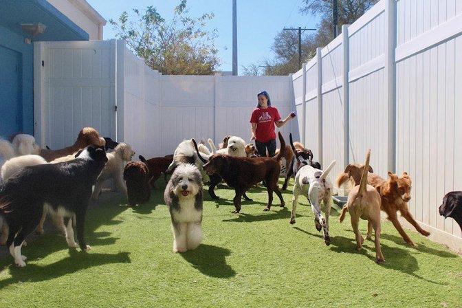 And a Leash Specialty Petcare