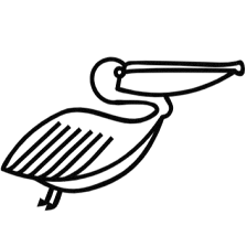 St. Pete Direct Primary Care