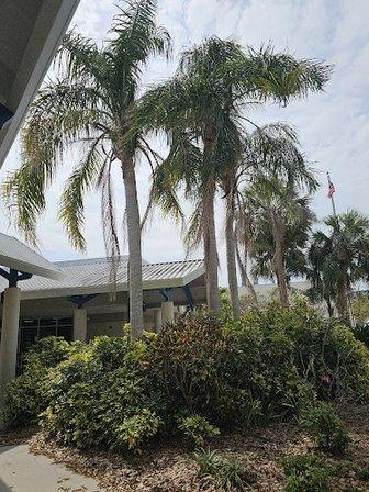 C.W. Bill Young University Partnership Center
