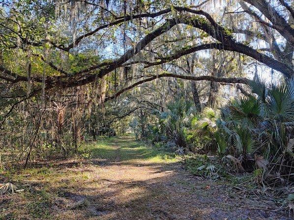 Alafia River Corridor Nature Preserve - South