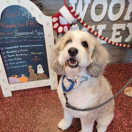 Woof Gang Bakery & Grooming Wesley Chapel