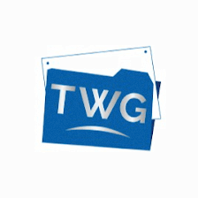 Tax Workout Group