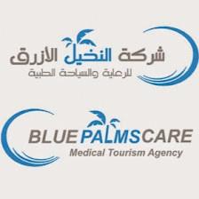 Blue Palms Care