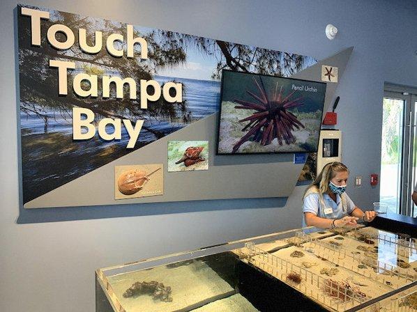 Tampa Bay Watch Discovery Center