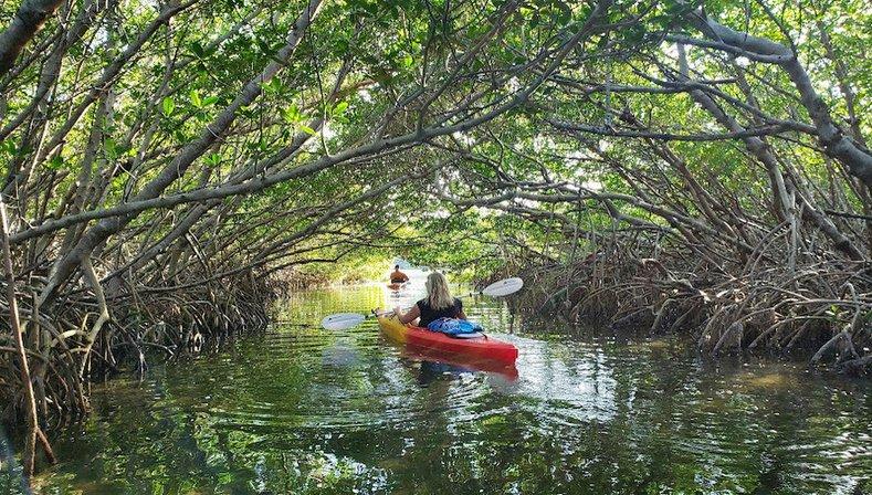 Island Kayak Adventures