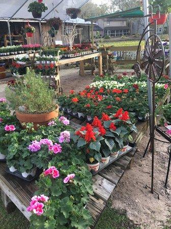 Whistle Stop Tea Room