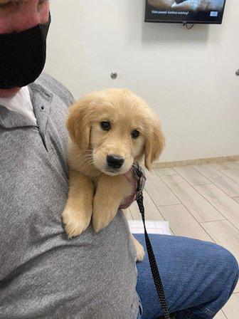 Cheval Animal Hospital