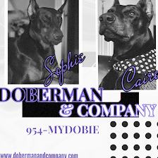 Doberman & Company
