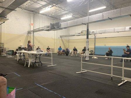 Dog Training Club of St Pete