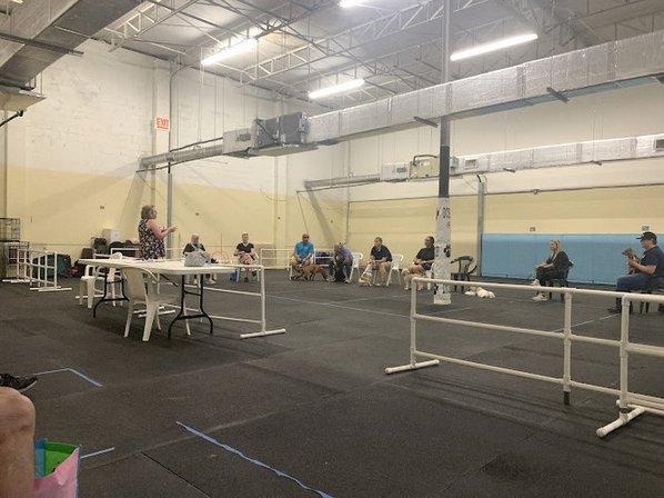 Dog Training Club of St Pete