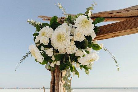 ASN Events & Designs
