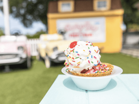 Dairy Joy Seminole Ice Cream