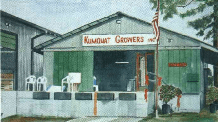 Kumquat Growers Inc