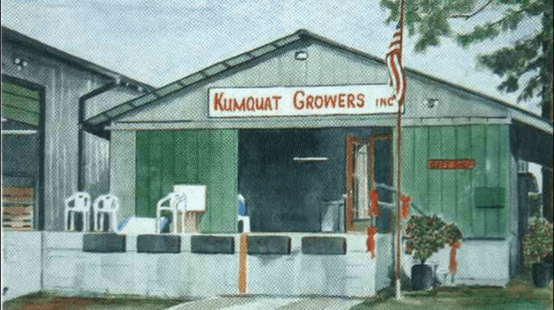 Kumquat Growers Inc