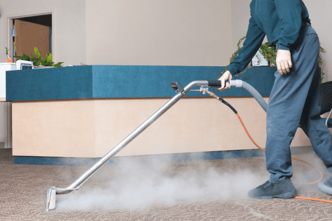 Hydra Maxx Carpet Cleaning-Tampa