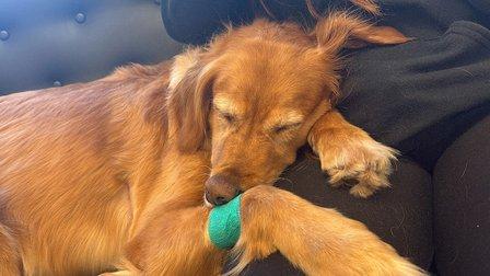 Adkins 301 Pet Hospital LLC