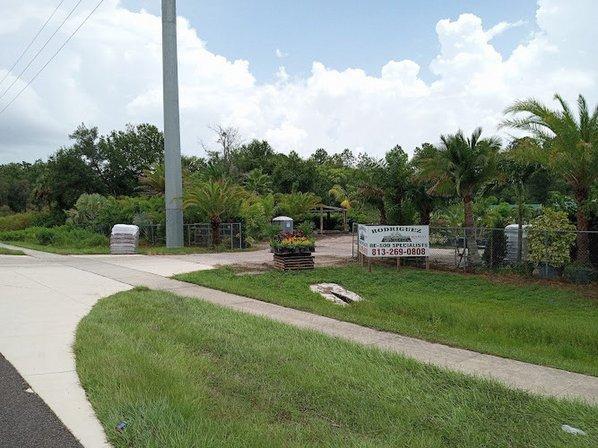 Rodriguez Sod Ranch Inc