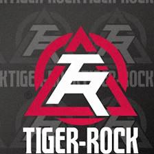 Finney's Tiger Rock Martial Arts, LLC