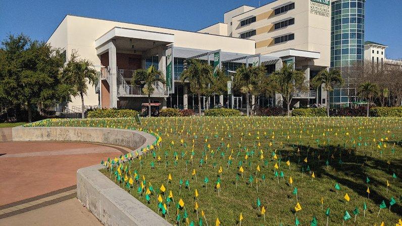 University of South Florida St. Petersburg Campus