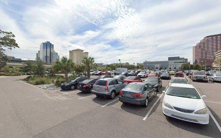 Benchmark International Arena Pink Lot