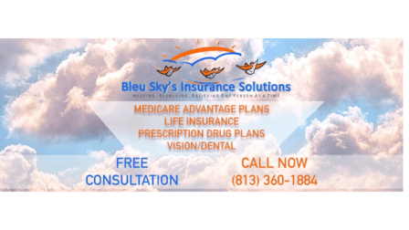 Bleu Sky's Insurance Solutions