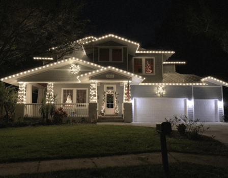 Tampa Holiday Lighting