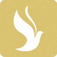 Easy Affordable Cremation