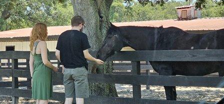 Lone Palm Ranch Florida