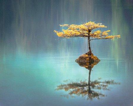 Tampa Counseling & Psychotherapy
