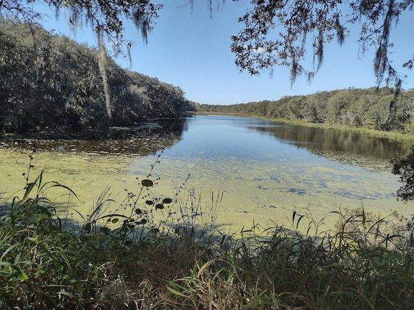 Balm Boyette Scrub Nature Preserve