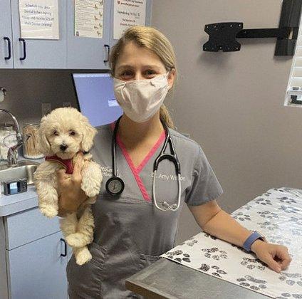 VCA Cypress Creek Animal Hospital