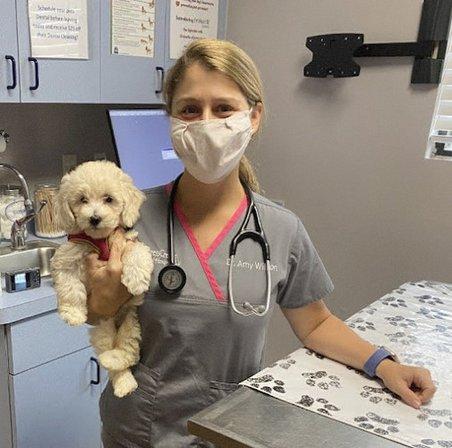 VCA Cypress Creek Animal Hospital