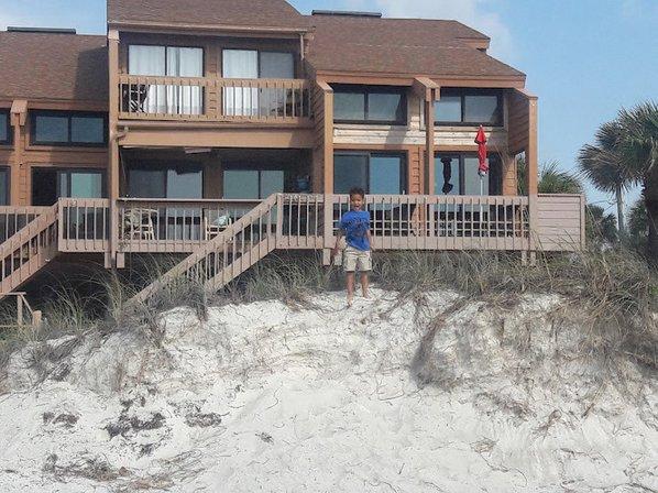 Driftwood Sands