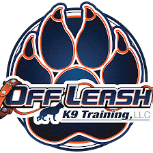 Off Leash K9 Training Tampa