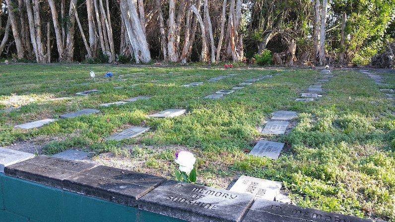 Honor Thy Pet Cremation - Green Mounds Pet Cemetery