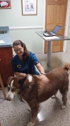 Lake Seminole Animal Hospital