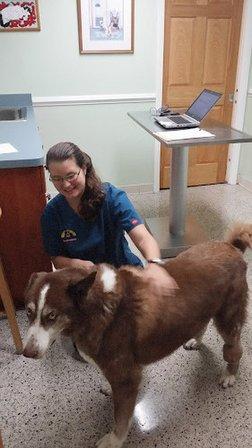 Lake Seminole Animal Hospital