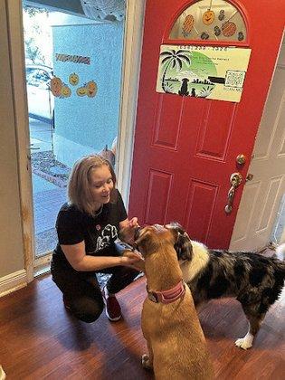 Tampa Bay Canine Retreat