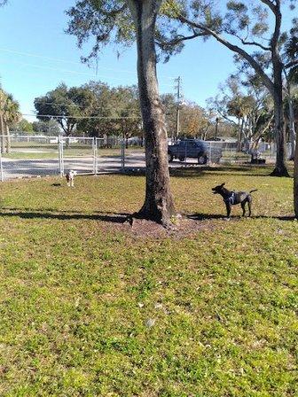 Broderick Dog Park