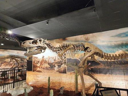 Dinosaur World