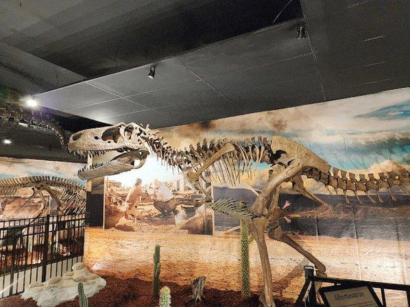Dinosaur World