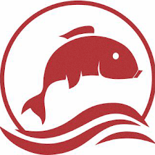 E Sushi & Grill
